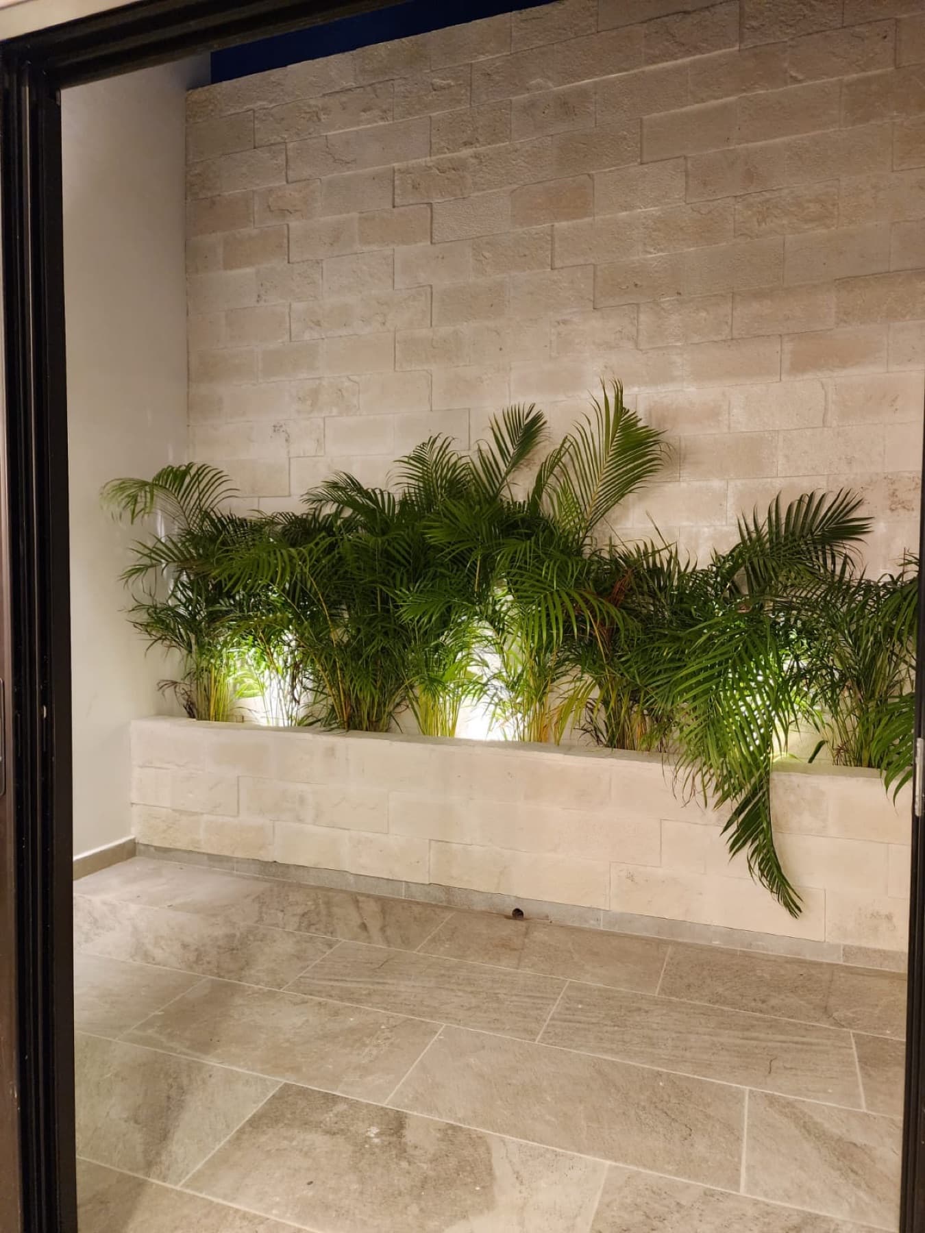 Residence interior garden
